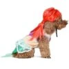Fetch For Pets Disney Halloween Princess Ariel Dog Costume