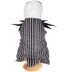 Fetch For Pets Disney Halloween Nightmare Before Christmas Jack Skellington Dog Costume -Dog Supply Store 364742 PT2. AC SS1800 V1659807504