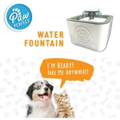 PawPerfect Cat & Dog Water Fountain, White 8 PawPerfect Cat & Dog Water Fountain, White -Dog Supply Store 365301 PT2. AC SS1800 V1644876272