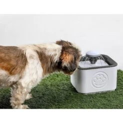 PawPerfect Cat & Dog Water Fountain, White 9 PawPerfect Cat & Dog Water Fountain, White -Dog Supply Store 365301 PT3. AC SS1800 V1644875801