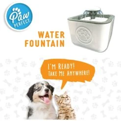 PawPerfect Cat & Dog Water Fountain, White 11 PawPerfect Cat & Dog Water Fountain, White -Dog Supply Store 365301 PT8. AC SS1800 V1643927833