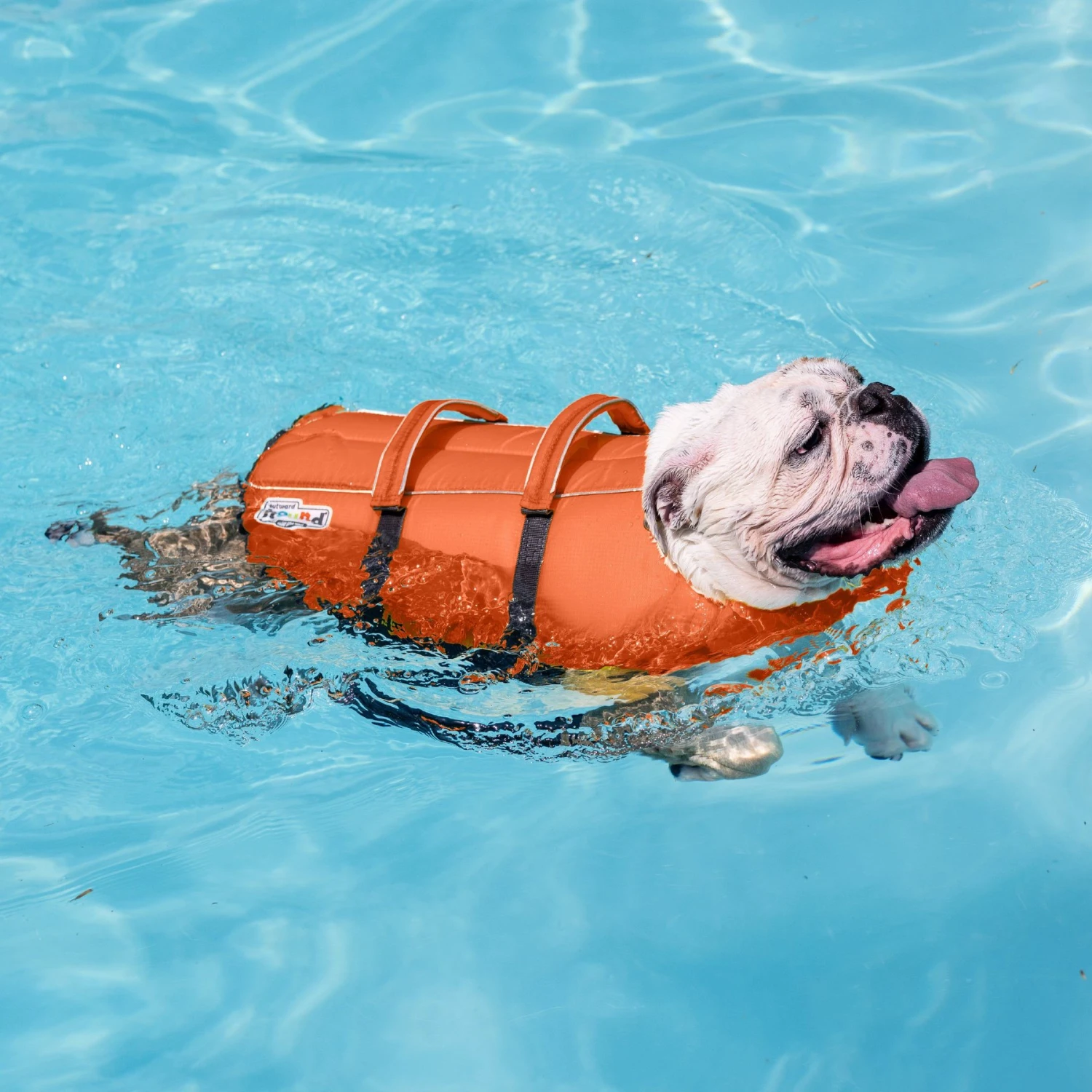 Outward Hound Granby Splash Dog Life Jacket 6 Outward Hound Granby Splash Dog Life Jacket - Image 6