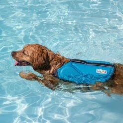 Outward Hound Dawson Swim Dog Life Jacket -Dog Supply Store 367143 PT5. AC SS1800 V1645229790