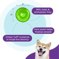 Planet Dog Orbee-Tuff Snoop Interactive Treat Dispensing Dog Toy -Dog Supply Store 367753 PT2. AC SS1800 V1687966990