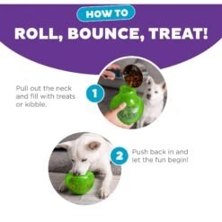 Planet Dog Orbee-Tuff Snoop Interactive Treat Dispensing Dog Toy -Dog Supply Store 367753 PT3. AC SS1800 V1644528180