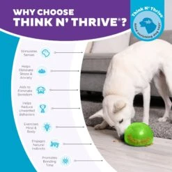 Planet Dog Orbee-Tuff Snoop Interactive Treat Dispensing Dog Toy -Dog Supply Store 367753 PT5. AC SS1800 V1687966996