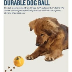 Planet Dog Orbee-Tuff Essentials Vanilla Scented Interactive Dog Ball Treat Dispenser Toy, Yellow -Dog Supply Store 367765 PT4. AC SS1800 V1644525693
