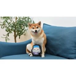 Fetch For Pets Harry Potter Dumbledore Crinkle Dog Toy -Dog Supply Store 367775 PT3. AC SS1800 V1645231017