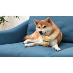 Fetch For Pets Harry Potter House Sorting Hat Burrow Dog Toy -Dog Supply Store 367779 PT8. AC SS1800 V1645225899