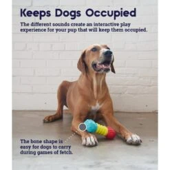 Petstages Multi-Squeak Bone Dog Chew Toy 10 Petstages Multi-Squeak Bone Dog Chew Toy -Dog Supply Store 367946 PT3. AC SS1800 V1644525450