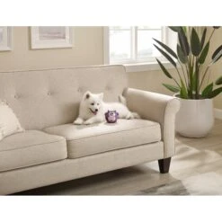 Outward Hound Sillyz Cow Latex Rubber Squeaky Ball Dog Toy 10 Outward Hound Sillyz Cow Latex Rubber Squeaky Ball Dog Toy -Dog Supply Store 368198 PT4. AC SS1800 V1644532018