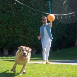 Outward Hound Launch A Ball Squeak Interactive Tennis Ball Launcher Dog Toy 11 Outward Hound Launch A Ball Squeak Interactive Tennis Ball Launcher Dog Toy -Dog Supply Store 368208 PT4. AC SS1800 V1644526653