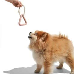 Wild OneTriangle Tug Small Dog Toy -Dog Supply Store 368867 PT3. AC SS1800 V1645745223