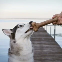 Lumabone Bulkster Bacon Flavor Dog Toy 10 Lumabone Bulkster Bacon Flavor Dog Toy -Dog Supply Store 370197 PT4. AC SS1800 V1646783525