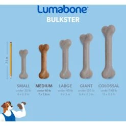 Lumabone Bulkster Bacon Flavor Dog Toy 11 Lumabone Bulkster Bacon Flavor Dog Toy -Dog Supply Store 370197 PT5. AC SS1800 V1646764954