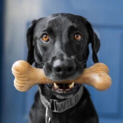 Lumabone Bulkster Beef Flavor Dog Toy -Dog Supply Store 370204 PT4. AC SS1800 V1646795884