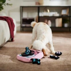 Frisco Valentine Love Song Record Player Hide & Seek Puzzle Plush Squeaky Dog Toy 8 Frisco Valentine Love Song Record Player Hide & Seek Puzzle Plush Squeaky Dog Toy -Dog Supply Store 371087 PT3. AC SS1800 V1668737233