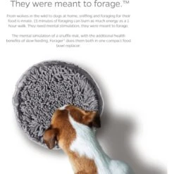 Pet Parents Forager Snuffle Mat & Slow Feeder Dog Bowl -Dog Supply Store 505542 PT3. AC SS1800 V1696255000
