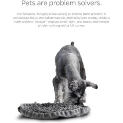 Pet Parents Forager Snuffle Mat & Slow Feeder Dog Bowl -Dog Supply Store 505542 PT5. AC SS1800 V1696255492