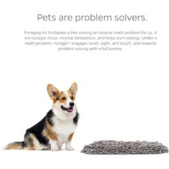 Pet Parents Forager Slow Feeder Cat & Dog Snuffle Mat & Feeding Mat 13 Pet Parents Forager Slow Feeder Cat & Dog Snuffle Mat & Feeding Mat -Dog Supply Store 505602 PT4. AC SS1800 V1696008728