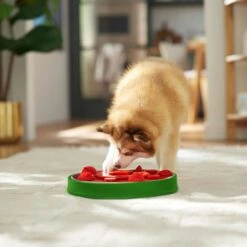 Frisco Watermelon Interactive Puzzle Dog Toy, Advanced -Dog Supply Store 506322 PT5. AC SS1800 V1674667034