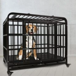 SMONTER Heavy Duty Metal Indoor & Outdoor Medium & Large Breed Dog Crate, Dark Silver 15 SMONTER Heavy Duty Metal Indoor & Outdoor Medium & Large Breed Dog Crate, Dark Silver -Dog Supply Store 517246 PT7. AC SS1800 V1657658362
