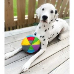 FouFIT Hide 'n Seek Disc Dog Toys, Multicolor 8 FouFIT Hide 'n Seek Disc Dog Toys, Multicolor -Dog Supply Store 528302 PT3. AC SS1800 V1657658561