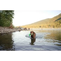 Chuckit! Amphibious Boomerang Dog Toy, Color Varies 8 Chuckit! Amphibious Boomerang Dog Toy, Color Varies -Dog Supply Store 53241 PT3. AC SS1800 V1510778334