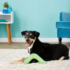 Chuckit! Amphibious Boomerang Dog Toy, Color Varies 9 Chuckit! Amphibious Boomerang Dog Toy, Color Varies -Dog Supply Store 53241 PT8. AC SS1800 V1510778346