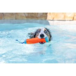 Chuckit! Amphibious Bumper Dog Toy, Color Varies 8 Chuckit! Amphibious Bumper Dog Toy, Color Varies -Dog Supply Store 53242 PT3. AC SS1800 V1534449144