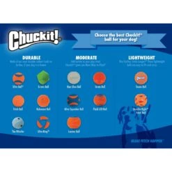 Chuckit! Erratic Ball Dog Toy -Dog Supply Store 53254 PT7. AC SS1800 V1531417054