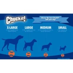 Chuckit! Erratic Ball Dog Toy -Dog Supply Store 53254 PT8. AC SS1800 V1530222636