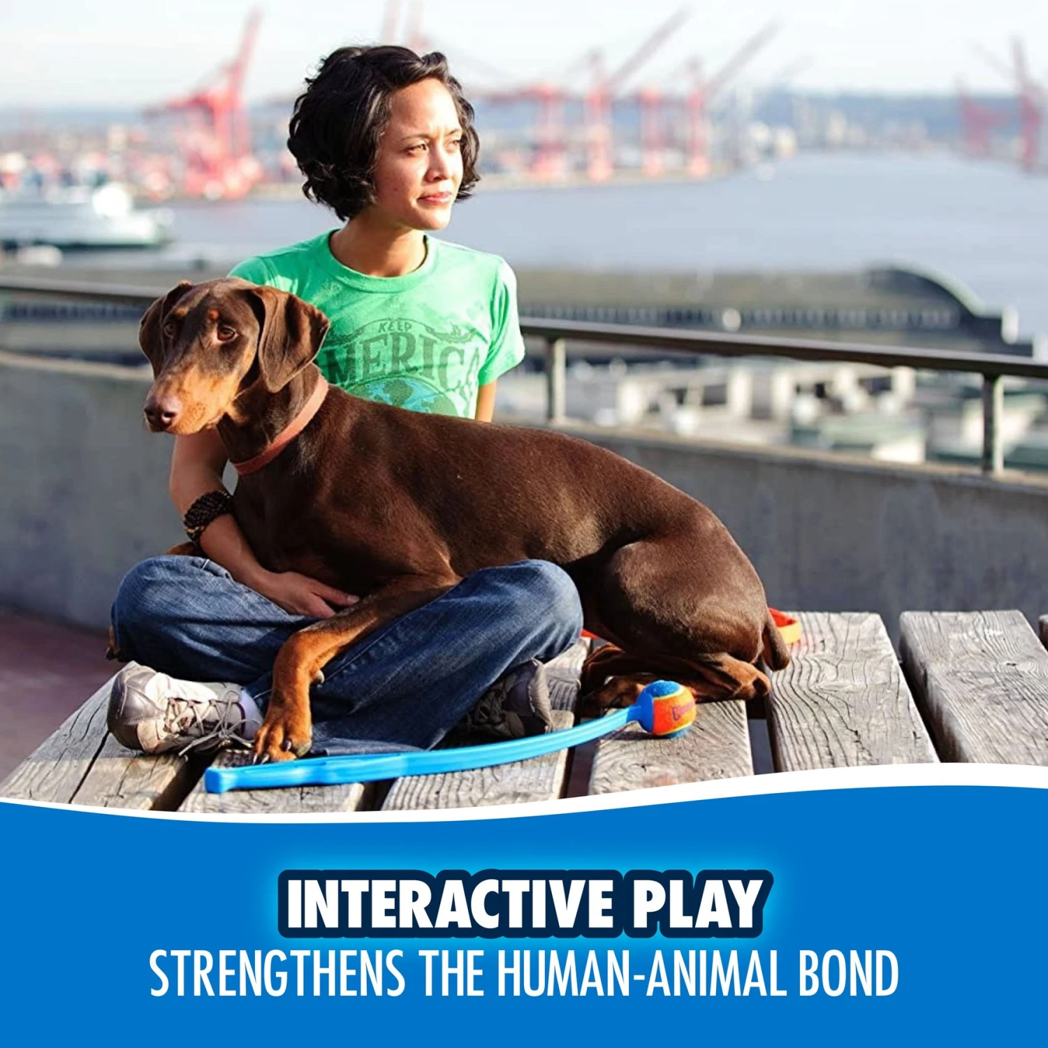 Chuckit! Sport Launcher Dog Toy, Color Varies 5 Chuckit! Sport Launcher Dog Toy, Color Varies - Image 5