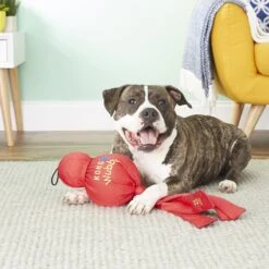 KONG Mega Wubba Dog Toy, Color Varies 9 KONG Mega Wubba Dog Toy, Color Varies -Dog Supply Store 53475 PT4. AC SS1800 V1605339710