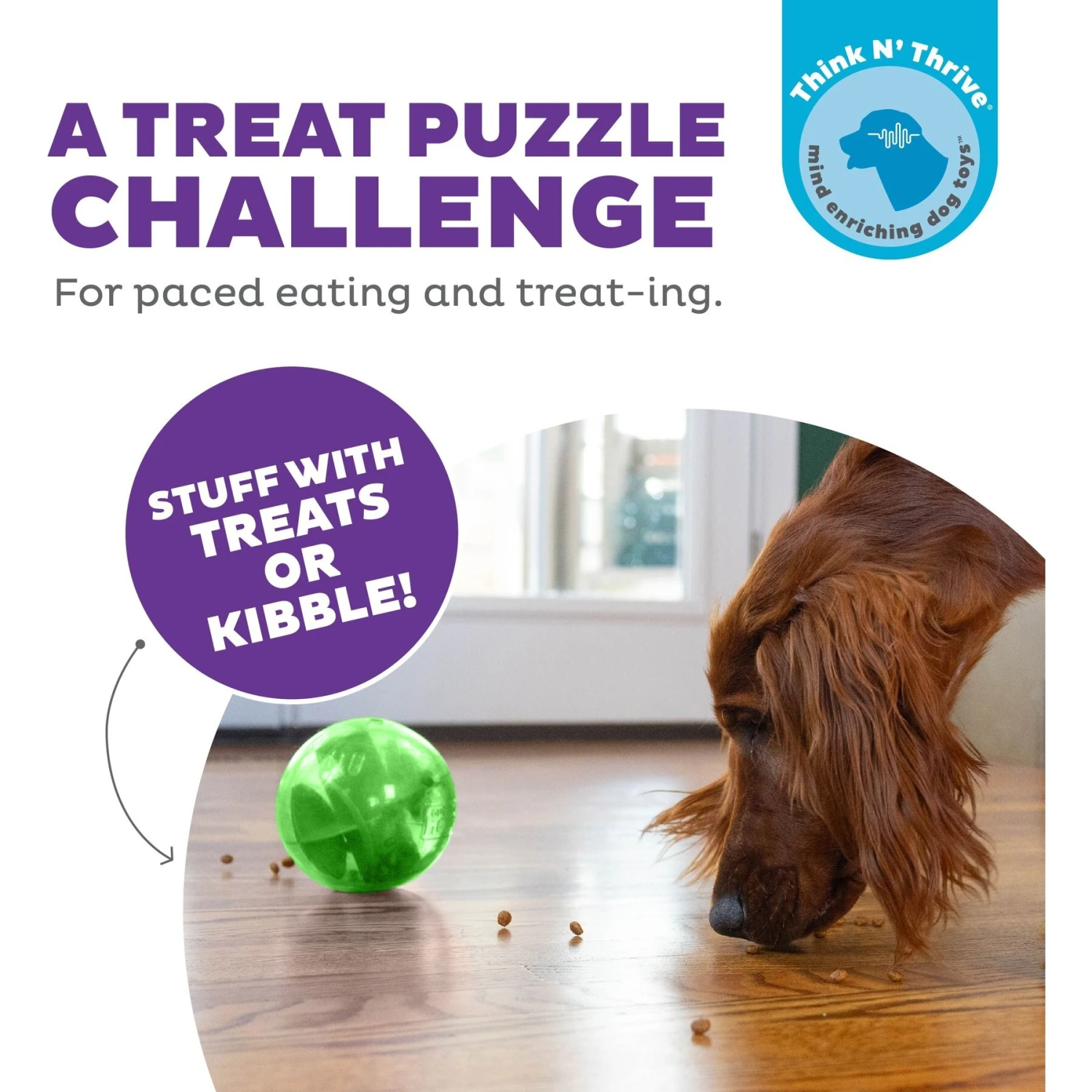 Planet Dog Orbee-Tuff Mazee Puzzle Dog Toy 2 Planet Dog Orbee-Tuff Mazee Puzzle Dog Toy - Image 2
