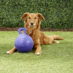 Jolly Pets Tug-n-Toss Dog Toy, Purple 5 Jolly Pets Tug-n-Toss Dog Toy, Purple -Dog Supply Store 53642 PT2. AC SS1800 V1530191318