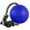 Jolly Pets Romp-n-Roll Dog Toy, Blue
