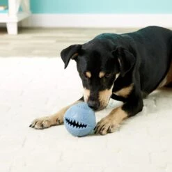 Jolly Pets Monster Ball Dog Toy -Dog Supply Store 53679 PT8. AC SS1800 V1507036189