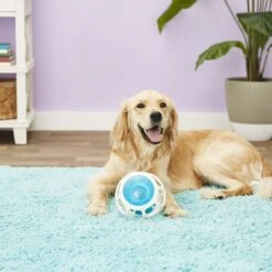 JW Pet Rockin Treat Ball -Dog Supply Store 55169 PT2. AC SS1800 V1530541353