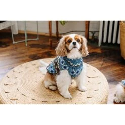 Chilly Dog Fairisle Wool Dog Sweater, Blue 10 Chilly Dog Fairisle Wool Dog Sweater, Blue -Dog Supply Store 577734 PT3. AC SS1800 V1659025727