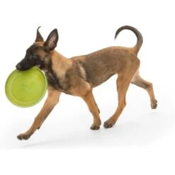 West Paw Zogoflex Zisc Flying Disc Dog Toy -Dog Supply Store 58046 PT2. AC SS1800 V1629321107