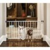 Carlson Pet Products Mini Dog Gate With Pet Door
