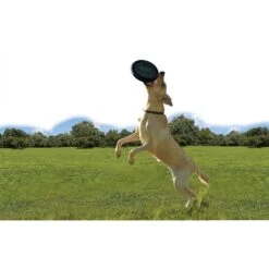 KONG Extreme Flyer Dog Toy -Dog Supply Store 59199 PT3. AC SS1800 V1531423971