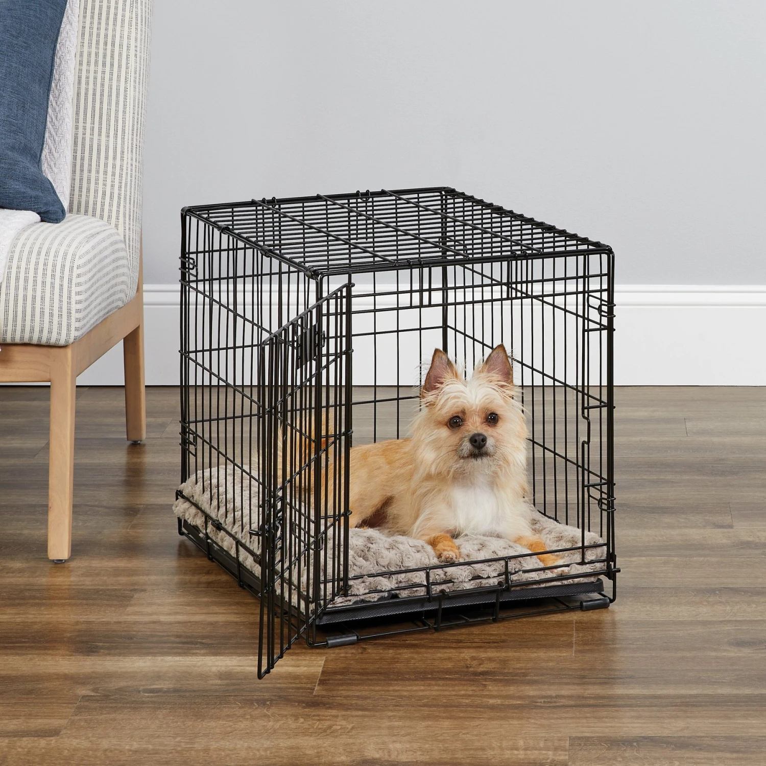 MidWest ICrate Fold & Carry Single Door Collapsible Wire Dog Crate 1 MidWest ICrate Fold & Carry Single Door Collapsible Wire Dog Crate