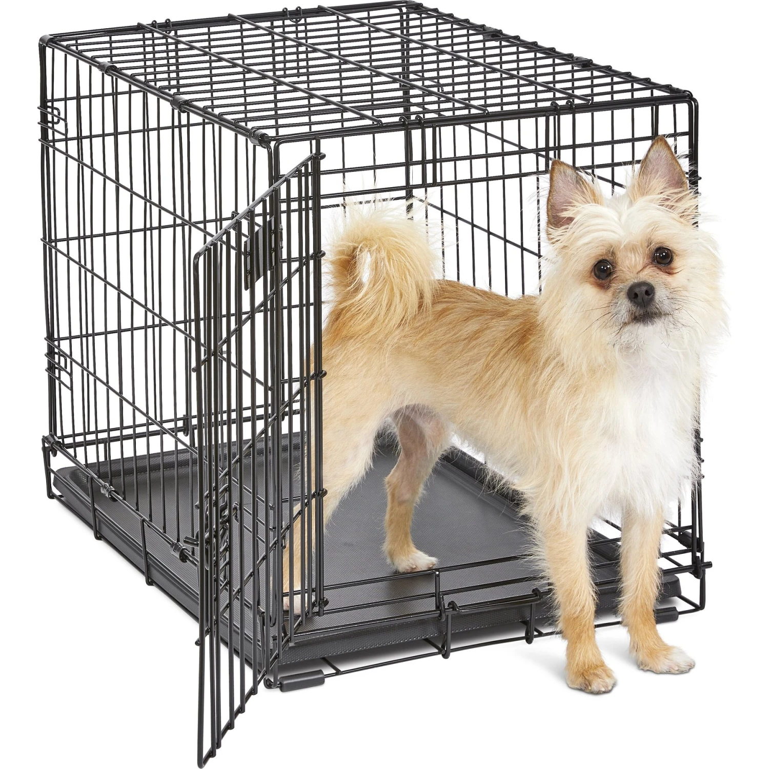 MidWest ICrate Fold & Carry Single Door Collapsible Wire Dog Crate 2 MidWest ICrate Fold & Carry Single Door Collapsible Wire Dog Crate - Image 2