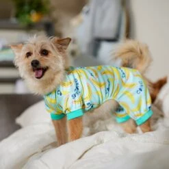 Frisco Go Bananas Dog & Cat Jersey PJs 10 Frisco Go Bananas Dog & Cat Jersey PJs -Dog Supply Store 608998 PT6. AC SS1800 V1676642341