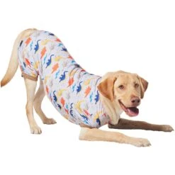 Frisco Dinosaur Dog & Cat Jersey PJs -Dog Supply Store 609062 PT4. AC SS1800 V1681488688
