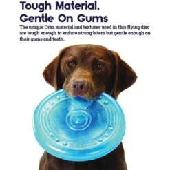 Petstages Orka Flyer Tough Dog Toy 10 Petstages Orka Flyer Tough Dog Toy -Dog Supply Store 61957 PT2. AC SS1800 V1636504087