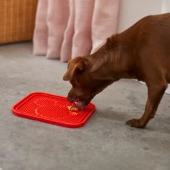 Disney Mickey Silicone Dog & Cat Lick Mat & Disney Mickey Silicone Dog & Cat Lick Mat 8 Disney Mickey Silicone Dog & Cat Lick Mat & Disney Mickey Silicone Dog & Cat Lick Mat -Dog Supply Store 623358 PT3. AC SS1800 V1661895905