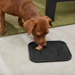 Disney Mickey Silicone Dog & Cat Lick Mat & Disney Mickey Silicone Dog & Cat Lick Mat 10 Disney Mickey Silicone Dog & Cat Lick Mat & Disney Mickey Silicone Dog & Cat Lick Mat -Dog Supply Store 623358 PT7. AC SS1800 V1661896456